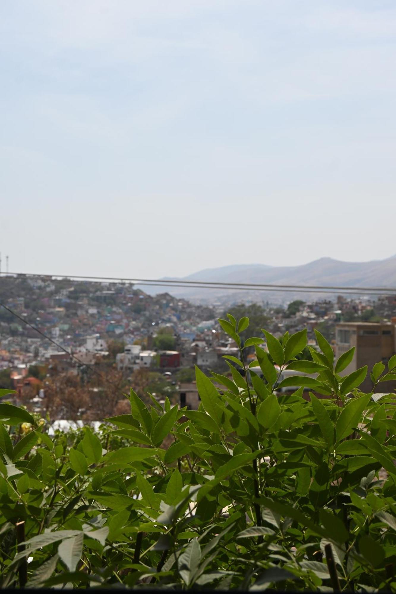 Hotel Casa 12 Reales Guanajuato Eksteriør bilde